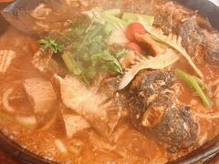 -老板恋上鱼(恒隆广场店)