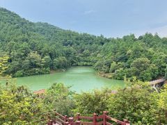 -广州白江湖森林公园