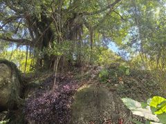 -青芝山风景名胜区