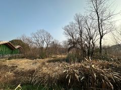 -西湖风景区-江洋畈生态公园