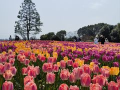 -上海辰山植物园