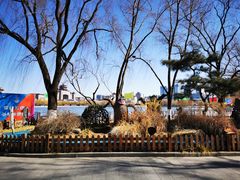 -莲花池公园