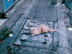 -宁曼路