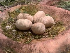 -湖南省地质博物馆