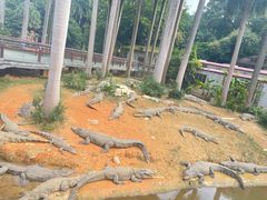 -南宁市动物园