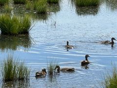 -花湖生态旅游区