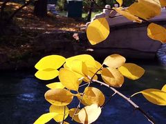 -钓鱼台国宾馆
