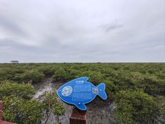 -北海金海湾红树林生态旅游区