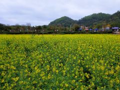 -红山村