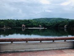 -清迈夜间动物园