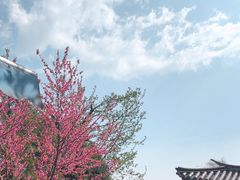 -寂照庵