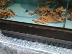 -阿伟海鲜楼·福建菜(延寿店)