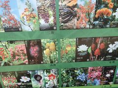 -中国科学院西双版纳热带植物园