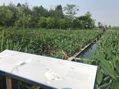 -白鹭湾湿地公园