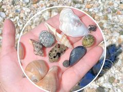 -连岛景区大沙湾