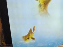 -徽三说·土徽菜·中国徽菜连锁品牌(一中店)