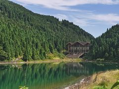 -武陵山森林公园