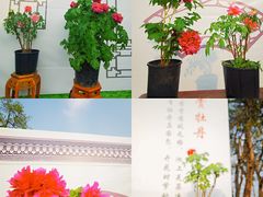-中国科学院华南植物园