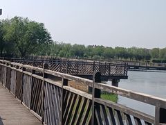 -武清南湖绿博园