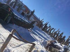 -丝绸之路山地度假区滑雪场