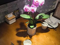 -小户人家(循礼门南国中心店)