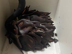 -西檬树SIMON·T轻奢蛋糕(大东方Max店)