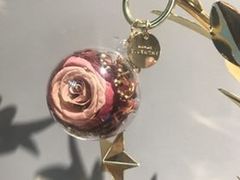 -Flower in(密渡桥店)