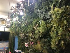 -南京夫子庙国际青年旅舍(平江府路店)