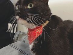 -小时光咖啡馆(北锣鼓巷店)
