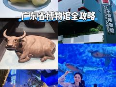 -广东省博物馆