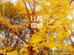 -尚贤河湿地