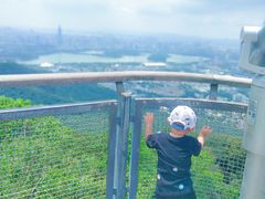 -紫金山山顶公园