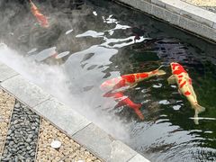 -西安市广仁寺