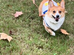 -西北湖绿化广场