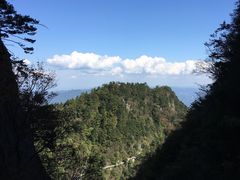 -秦岭天竺山景区