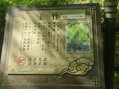 -神农架景区
