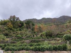 -塔川景区