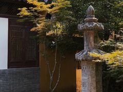 -天台山景区