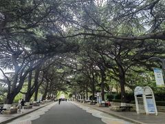 -贮水山儿童公园