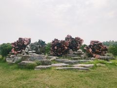 -上海海湾国家森林公园