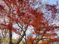 -赭山公园