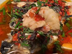 -隐厨·中国菜馆(三里屯T+MALL店)