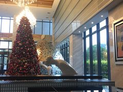 -上海虹桥西郊假日酒店