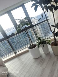 -HEYAN荷妍专业脱毛连锁机构