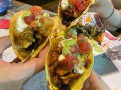 -Famous肥猫墨西哥音乐餐吧(五棵松华熙LIVE店)