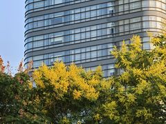 -Beans Solo豆号咖啡(百家湖花园店)