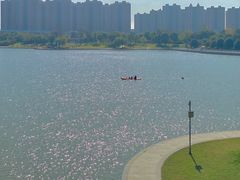 -映月湖中央公园