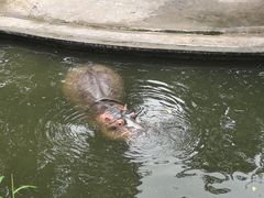 -重庆动物园·东二门售票处