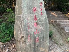 -紫金山山顶公园