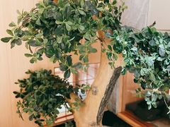 -文三酒肆自助放题(新街口友谊广场店)